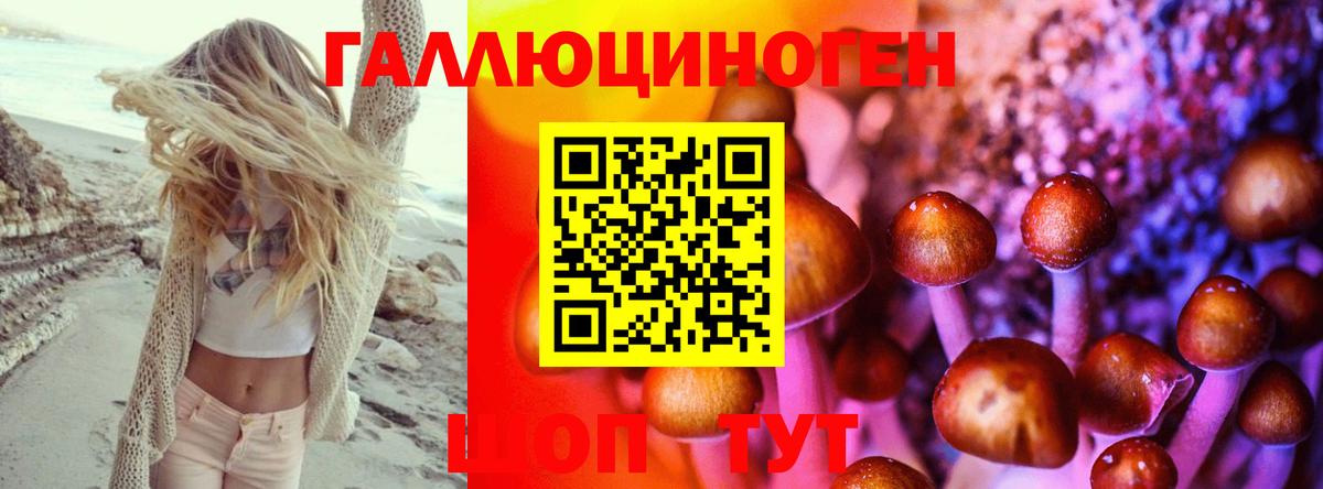 Галлюциногенные грибы MAGIC MUSHROOMS  Вход с VPN  Татарск 