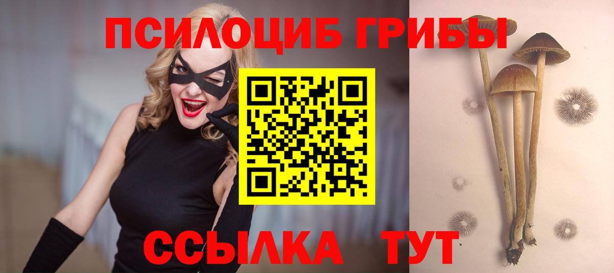 Галлюциногенные грибы Psilocybine cubensis Татарск